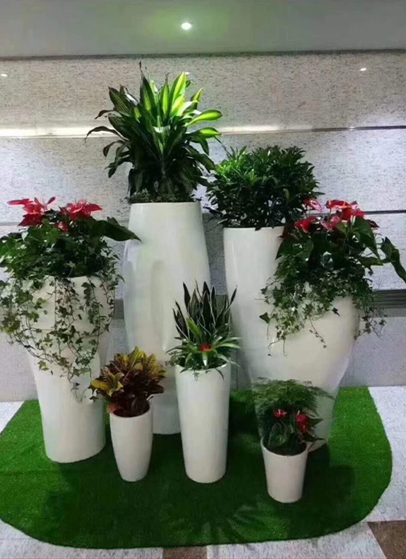 盆景出租
