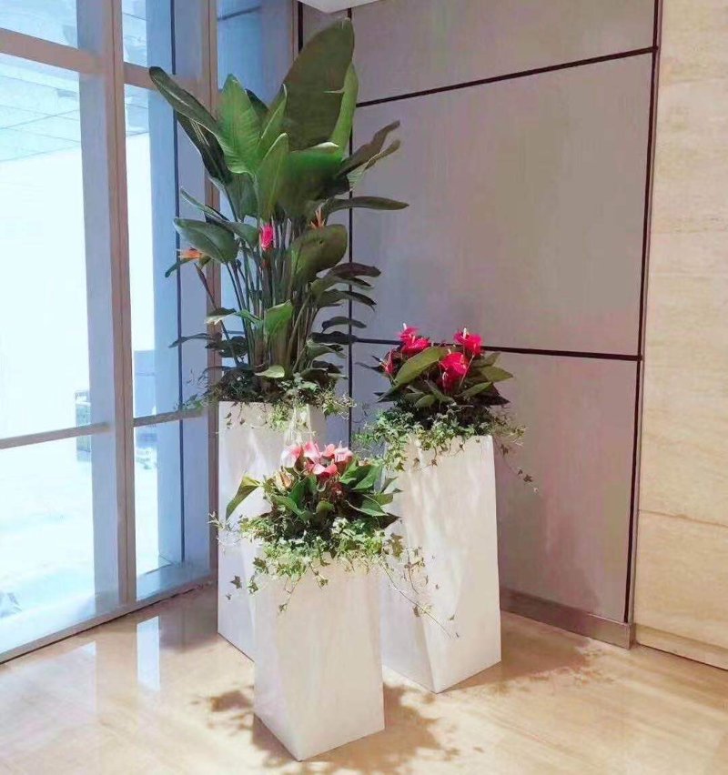 时令草花：自然与艺术的完美结合